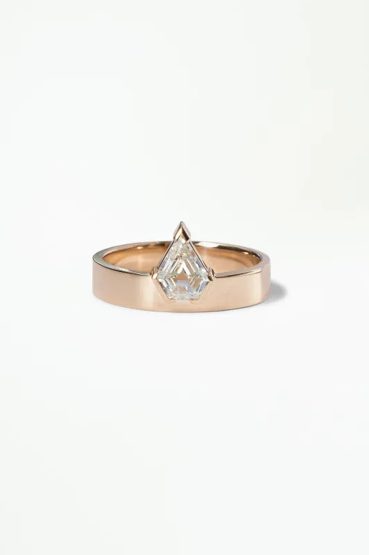 One of a Kind Shield Cut Diamond Monolith Ring No. 10 made by WWAKE