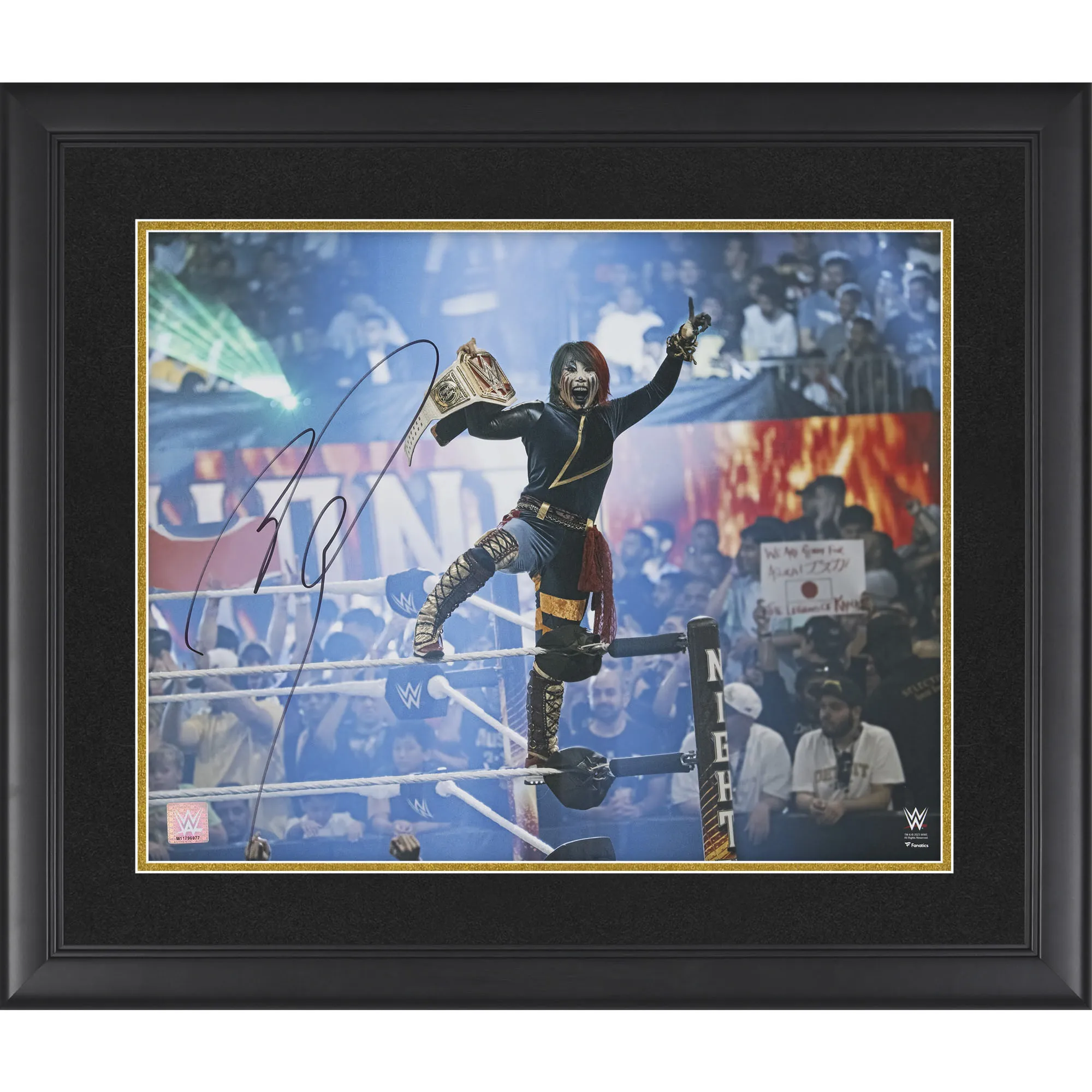 Asuka WWE Autographed Framed 16" x 20" 2023 Night of Champions Photograph sold by WWE