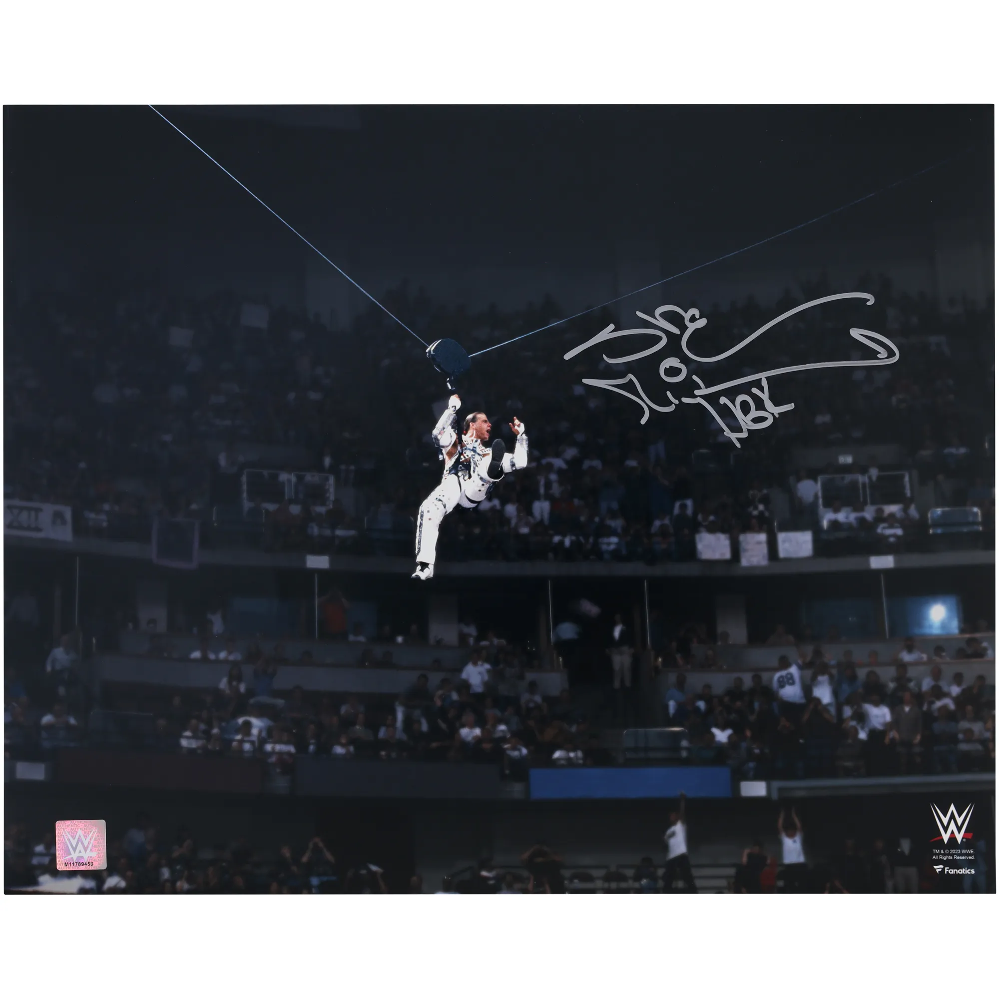 Shawn Michaels WWE Autographed 16" x 20" WrestleMania 12 Entrance Zipline Photograph sold by WWE