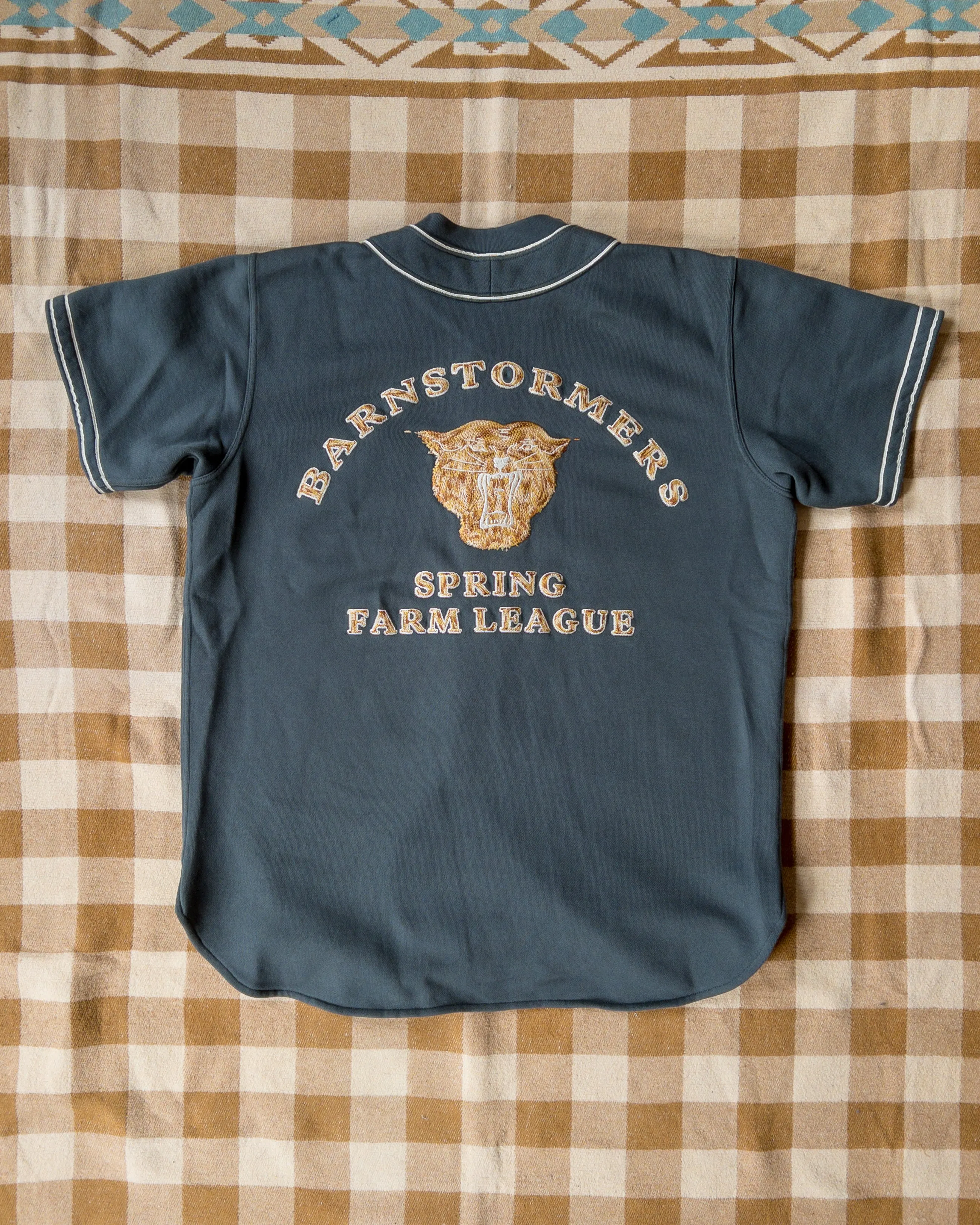 Barnstormers Baseball Jersey - Away sold by Wythe NY product image thumbnail 2