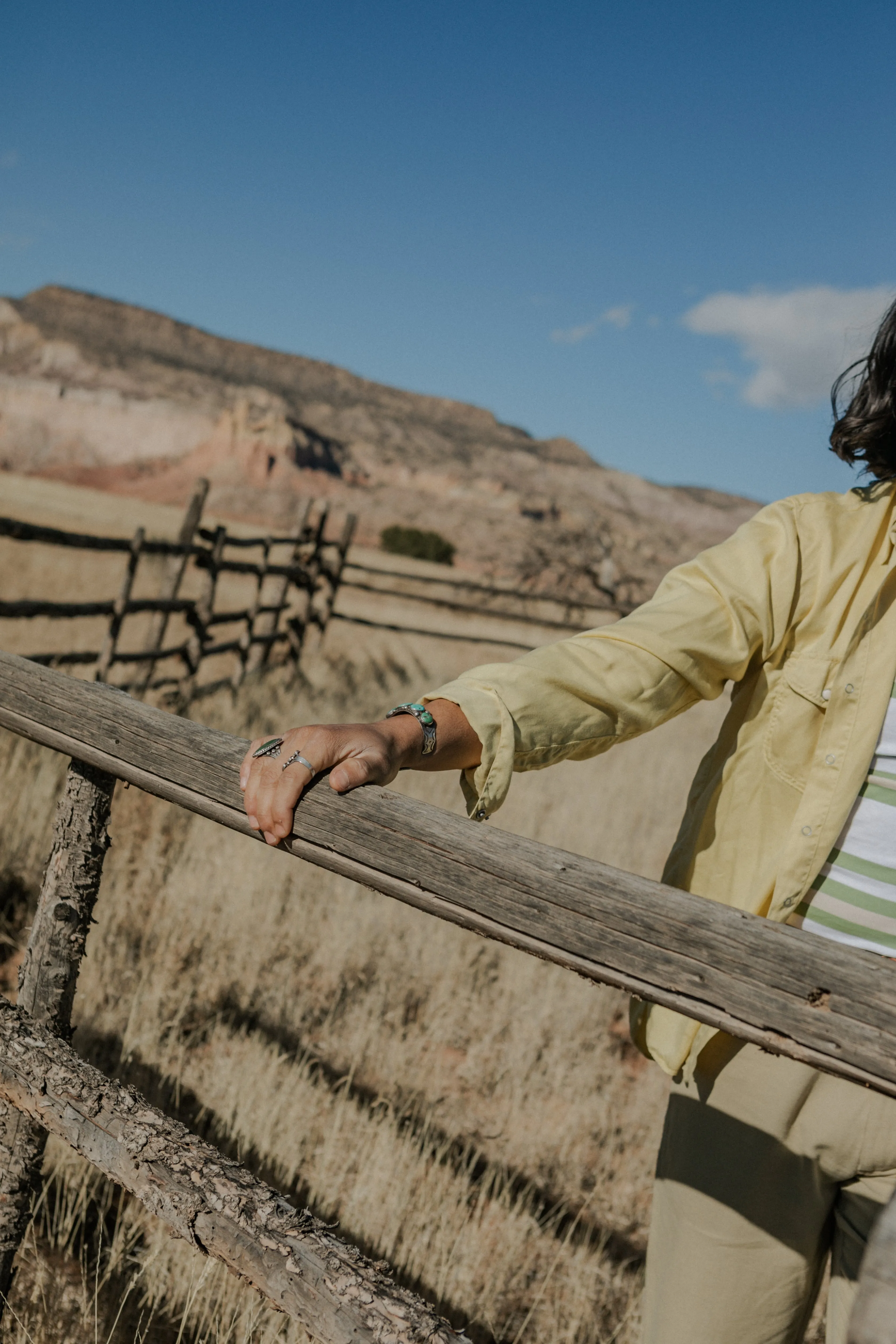 Tencel Gabardine Pearlsnap Shirt - Sunshine sold by Wythe NY product image thumbnail 4