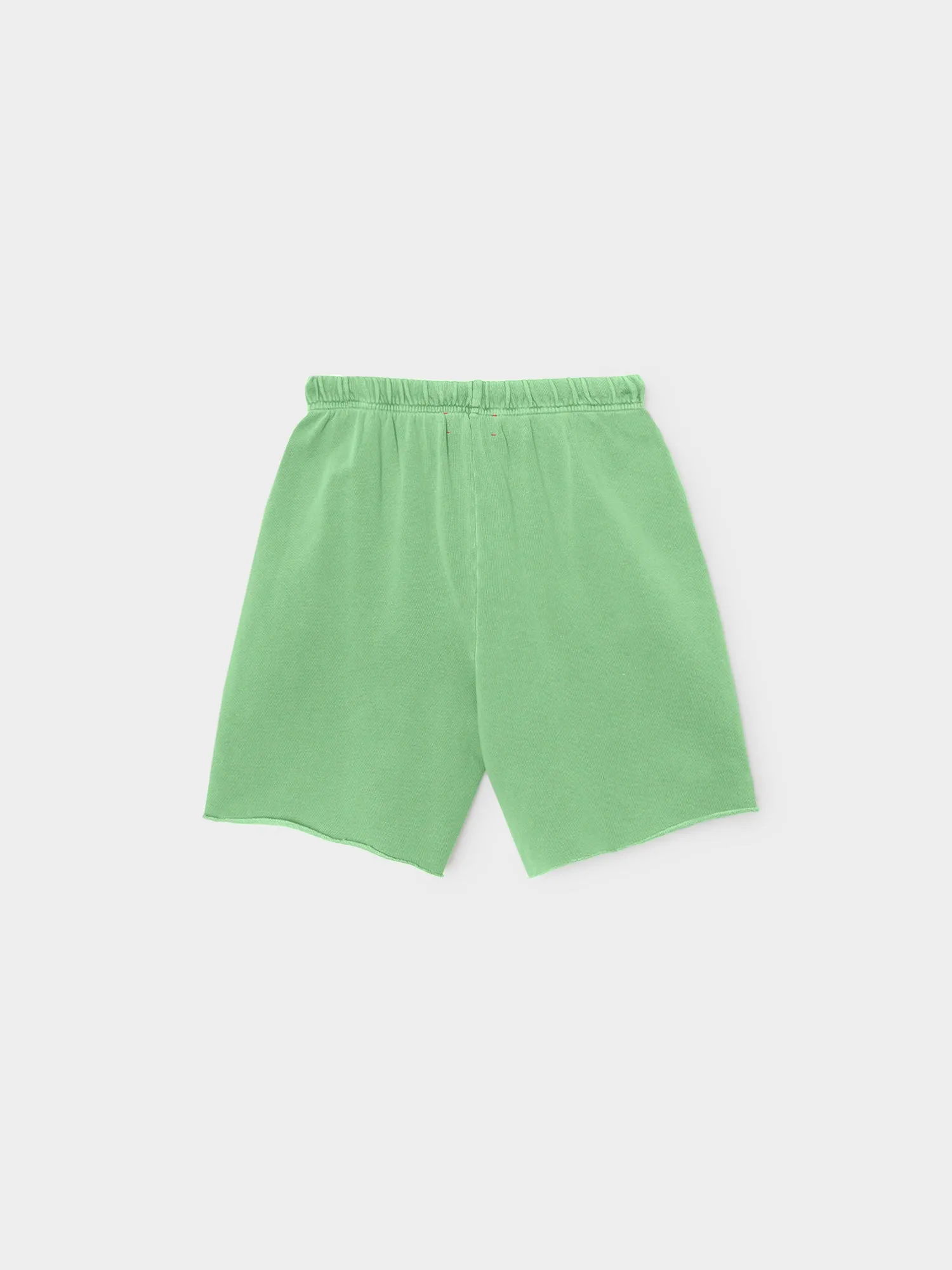 Aloe Green Rocco Terry Sweatshort sold by XiRENA product image thumbnail 2