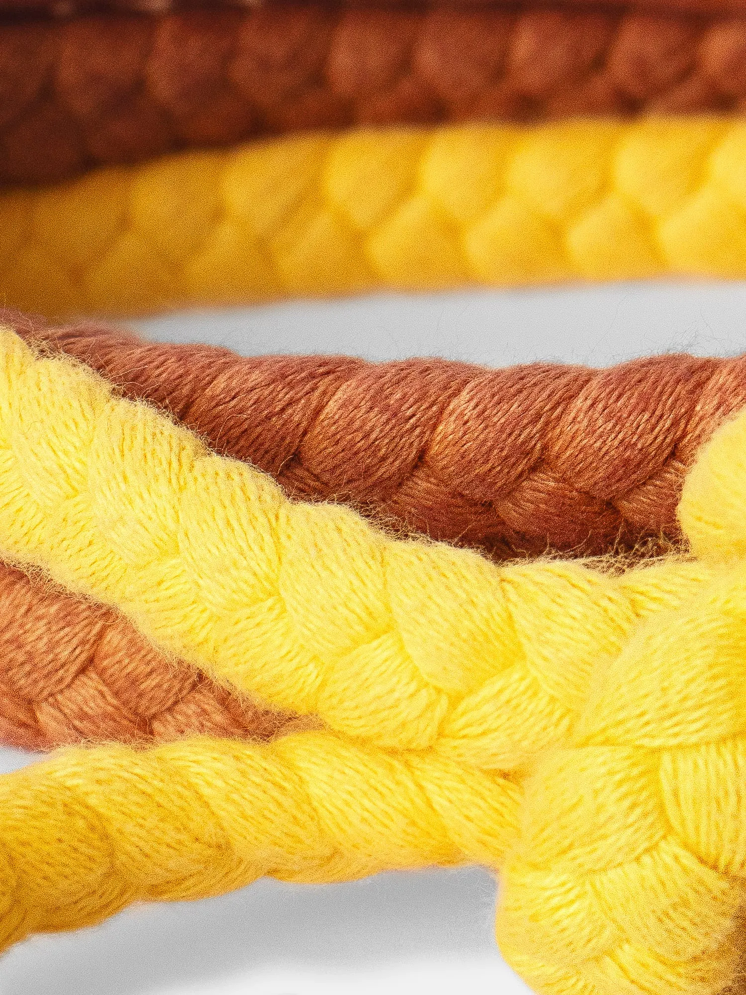 Suntan Havana Belt sold by XiRENA product image thumbnail 2