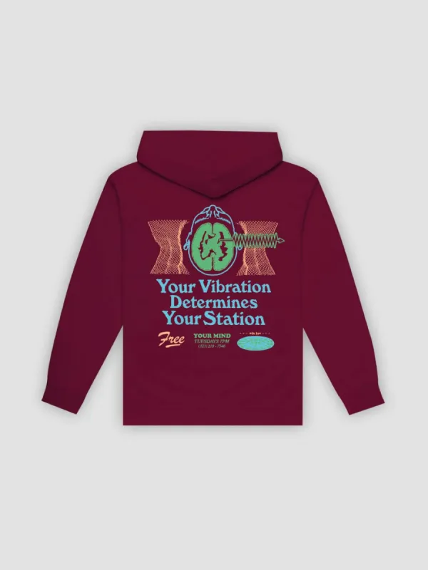 Vibrations Hoodie - Maroon sold by Young & Reckless