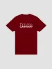 Tagger Tee - Burgundy sold by Young & Reckless