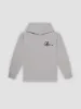 Full Sig Hoodie - Carbon Grey sold by Young & Reckless