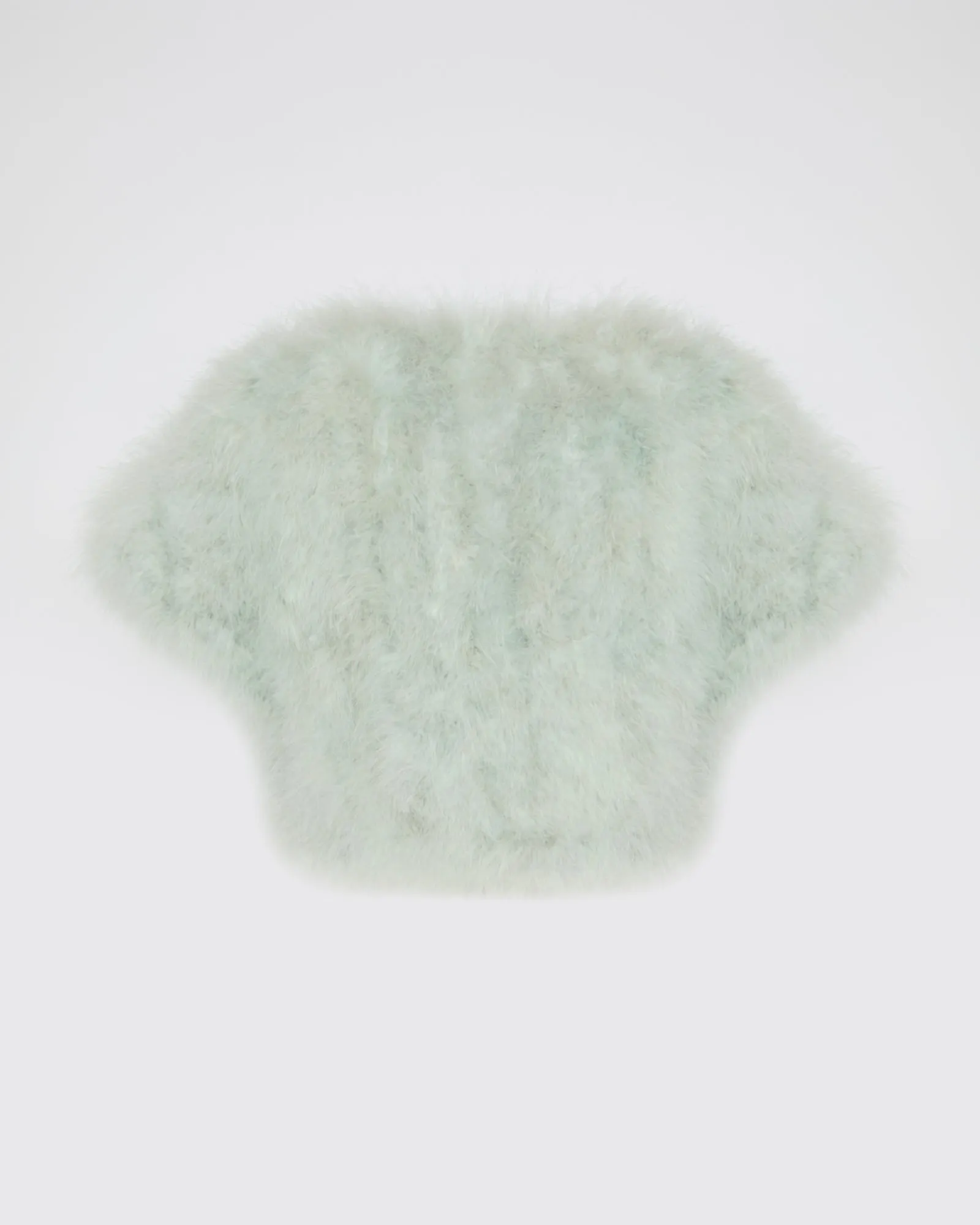 Boléro court en plumes sold by Yves Salomon product image thumbnail 2