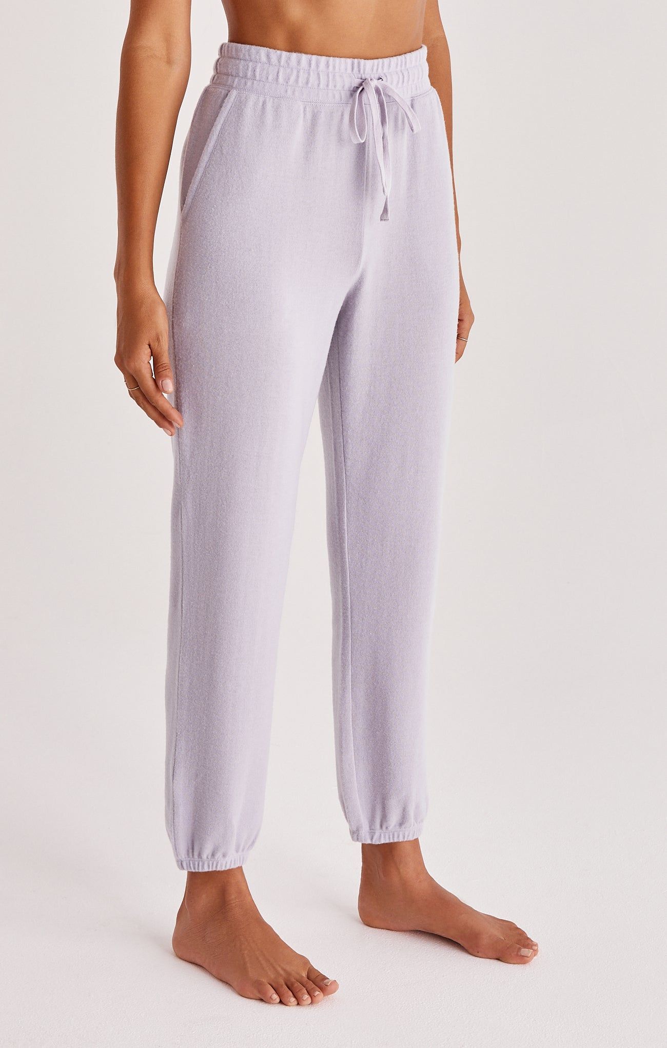 Callie Brushed Jogger sold by Z Supply product image thumbnail 7