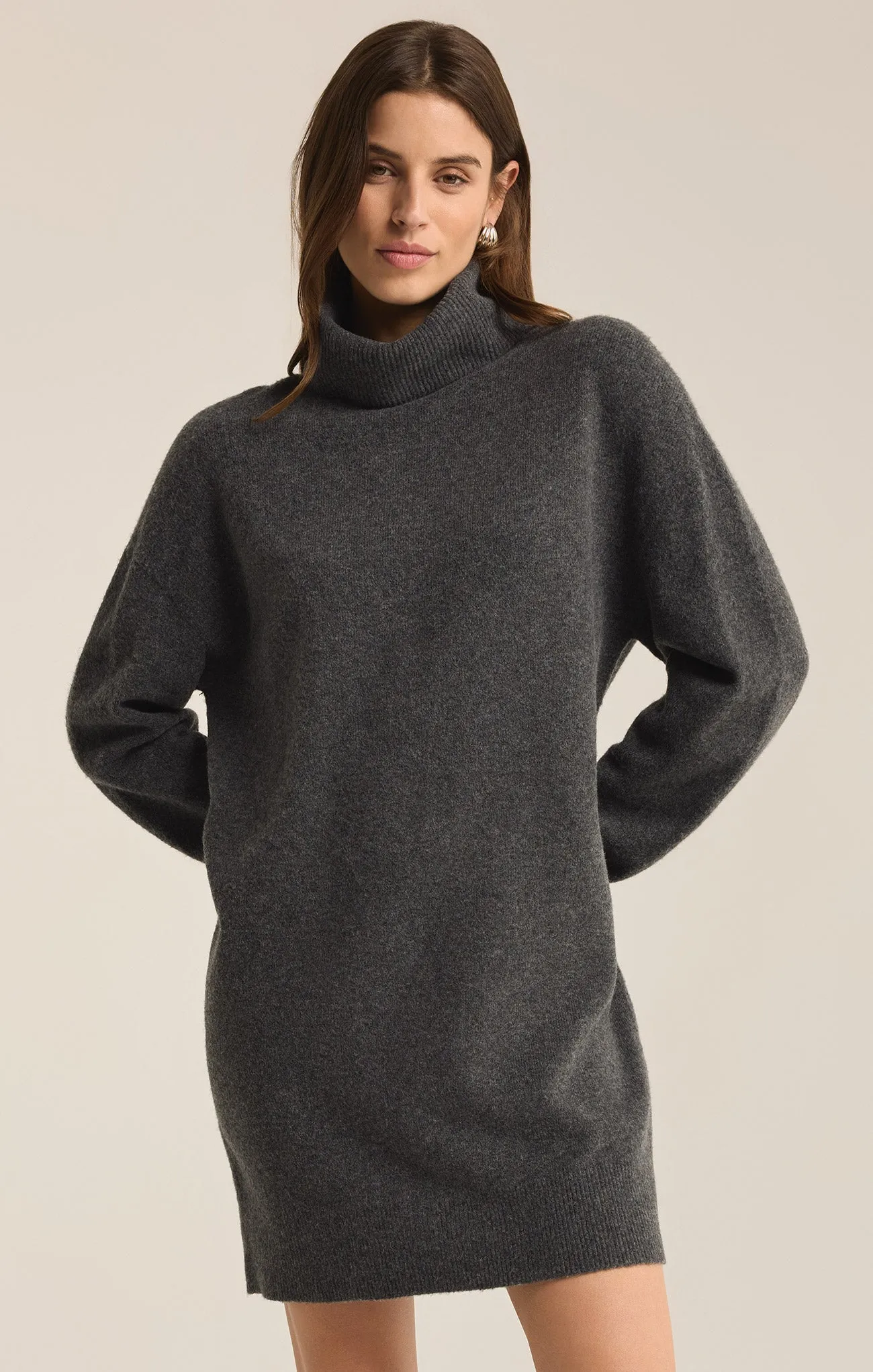 Richie Relaxed Turtleneck Sweater Mini Dress sold by Z Supply product image thumbnail 3