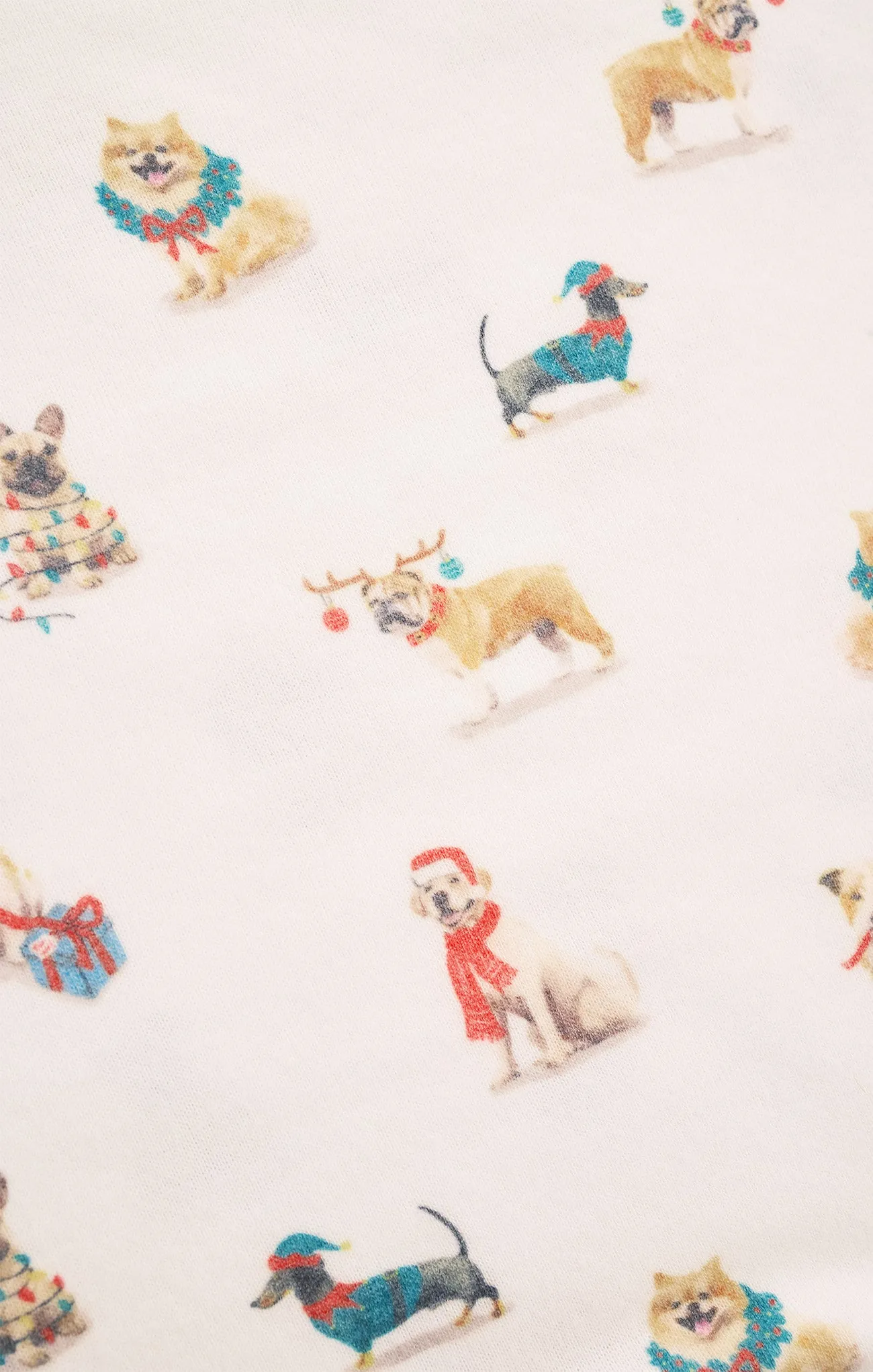 Classic Pup Short sold by Z Supply product image thumbnail 5