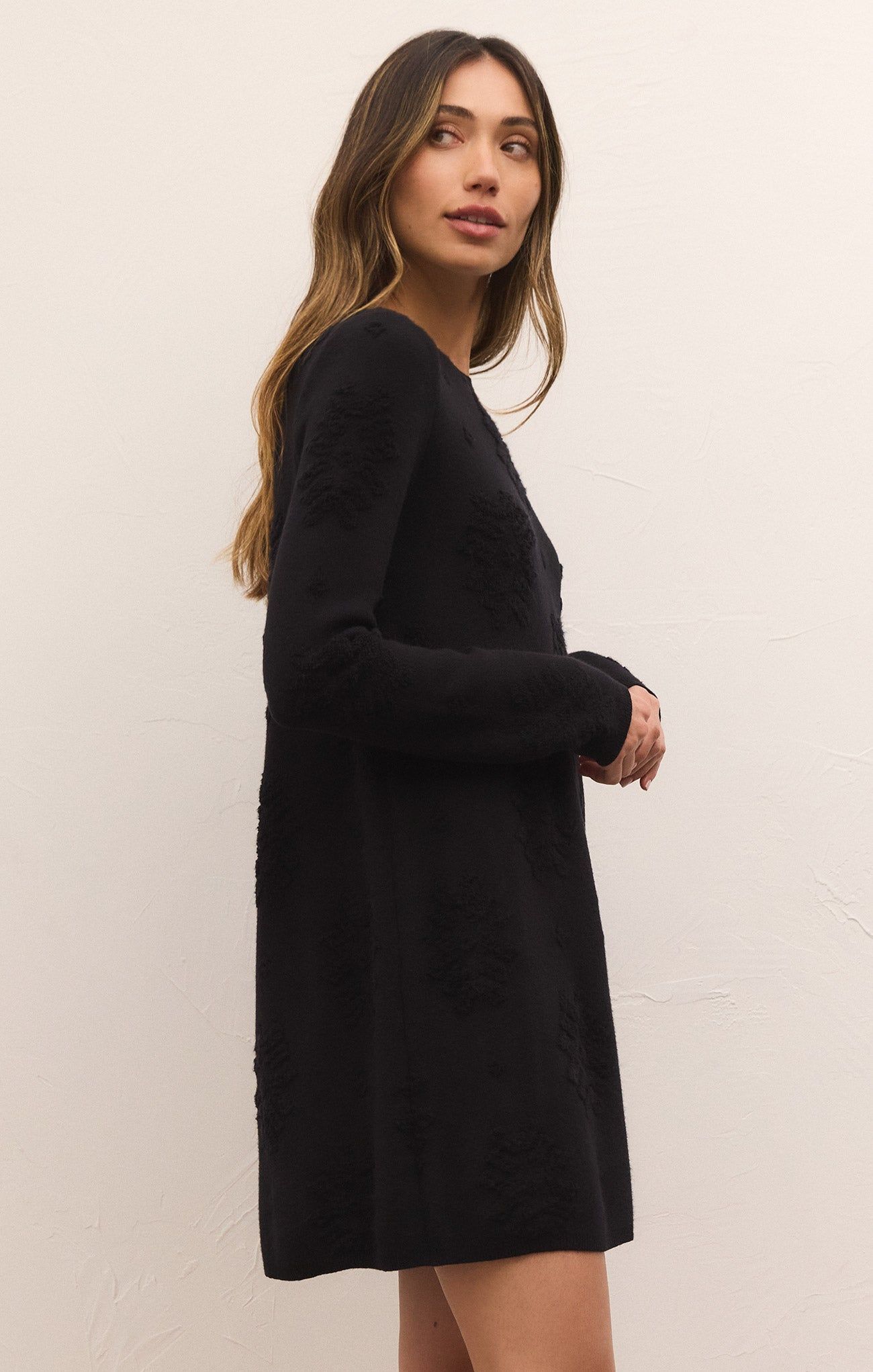 Lena Sweater Dress sold by Z Supply product image thumbnail 3