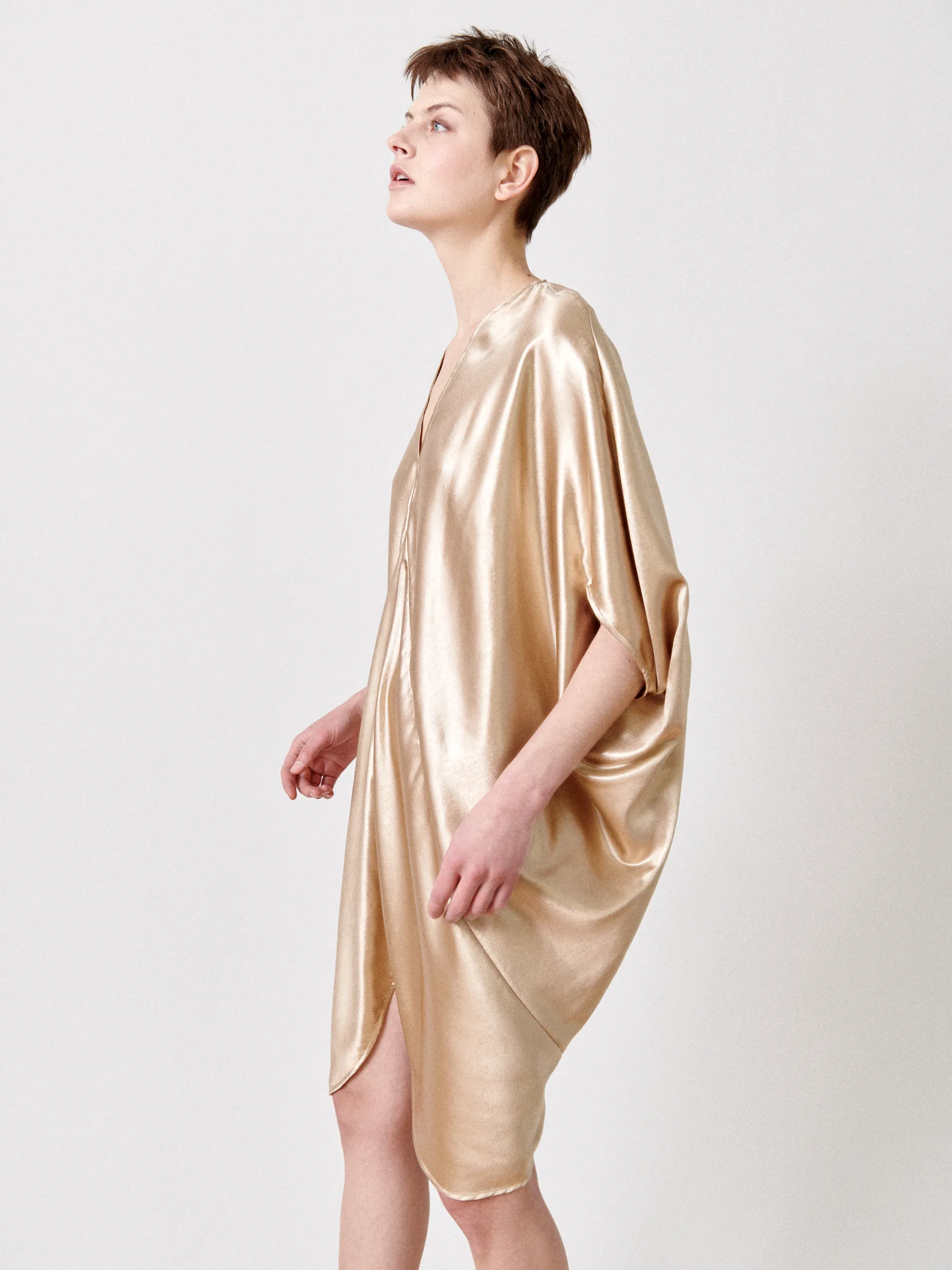 Koya Dress Sample sold by Zero + Maria Cornejo product image thumbnail 3