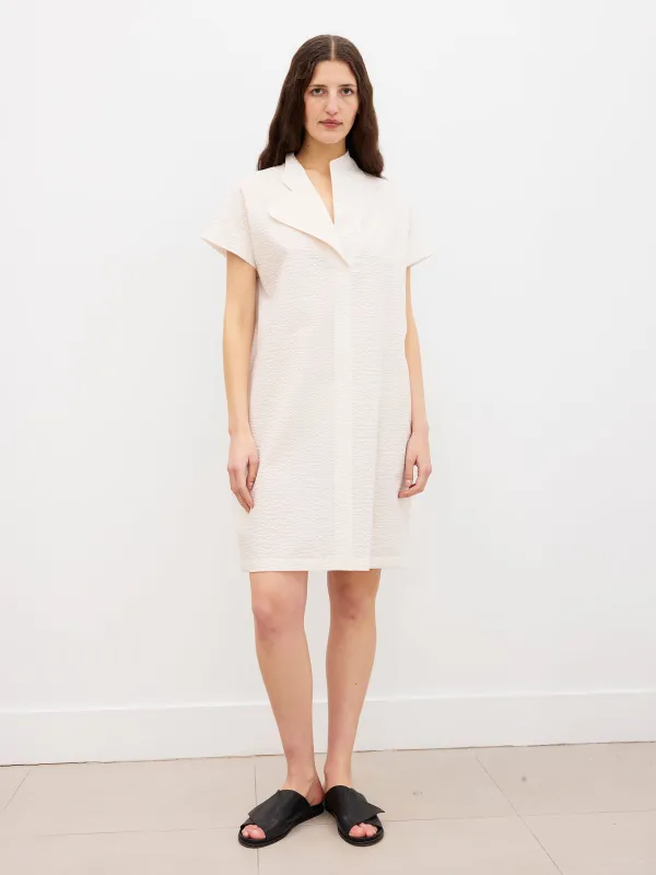 Adi Dress made by Zero + Maria Cornejo
