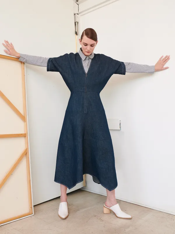 Aissa Joi Dress made by Zero + Maria Cornejo
