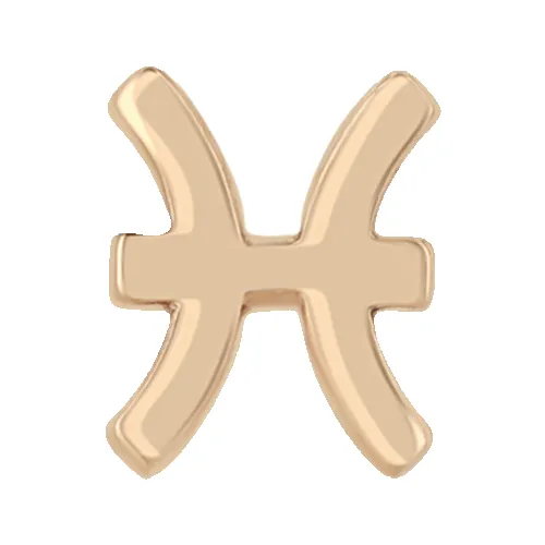 Itty Bitty Zodiac sold by Zoe Chicco product image thumbnail 5