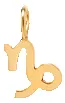 14k Midi Bitty Zodiac Charm Pendant sold by Zoe Chicco product image thumbnail 2