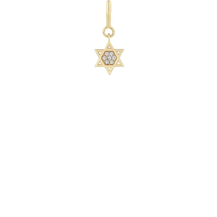 14k Midi Bitty Pavé Diamond Star of David Charm with Spring Ring sold by Zoe Chicco product image thumbnail 2