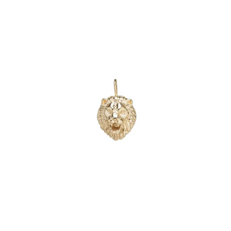 14k Lion Head Charm Pendant sold by Zoe Chicco