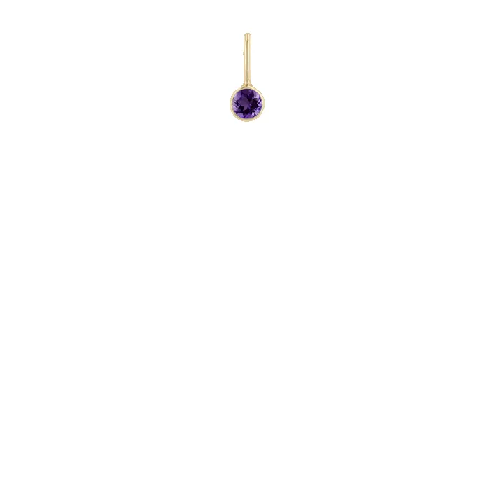 14k Amethyst Charm Pendant sold by Zoe Chicco product image thumbnail 2