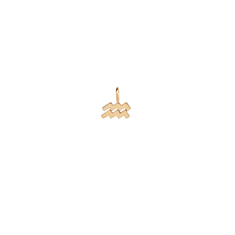 14k Single Midi Bitty Zodiac Charm Pendant - SALE made by Zoe Chicco