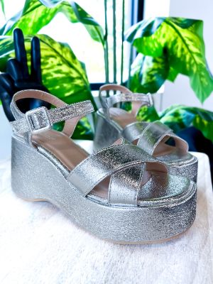 Silver Metallic Platforms sold by ZZs