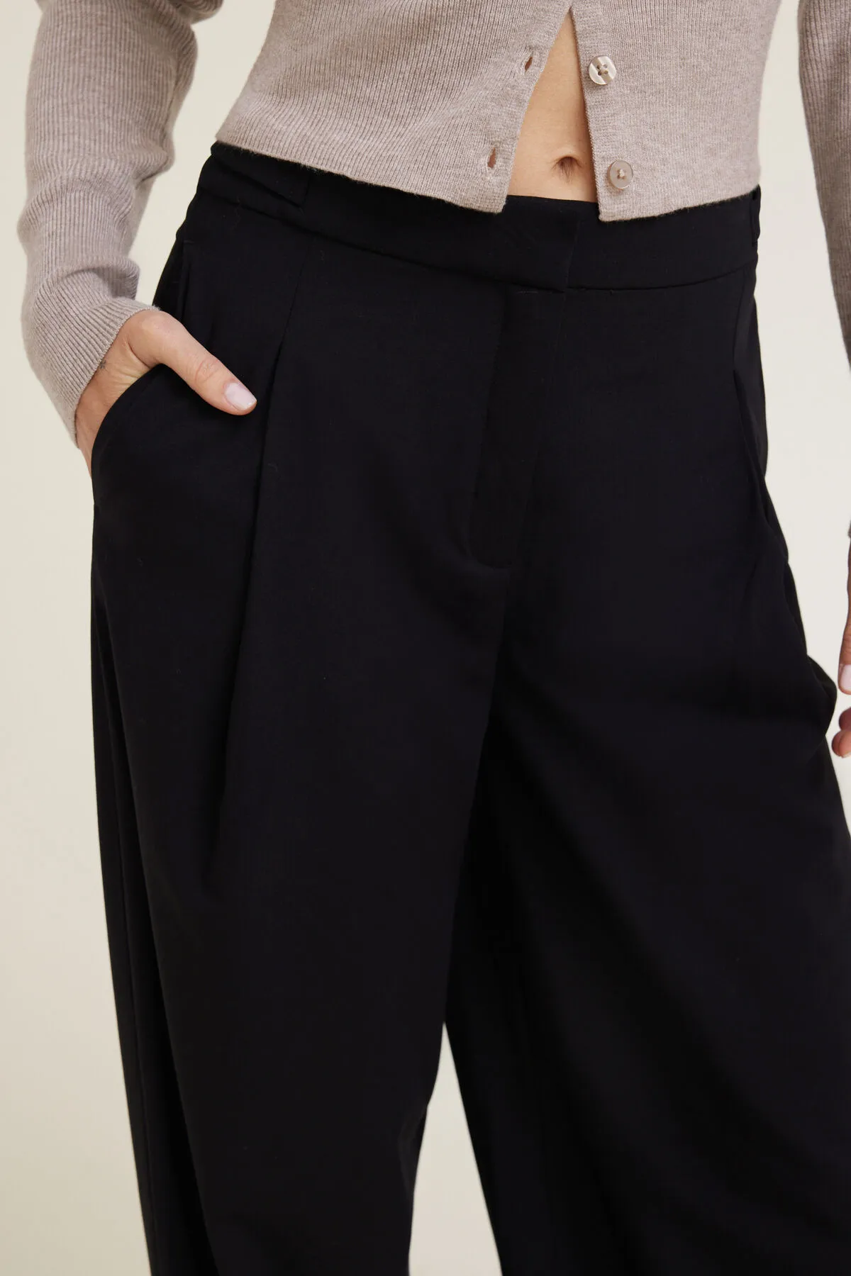 Leni Pleated Wide Leg Pants sold by Dynamite product image thumbnail 5
