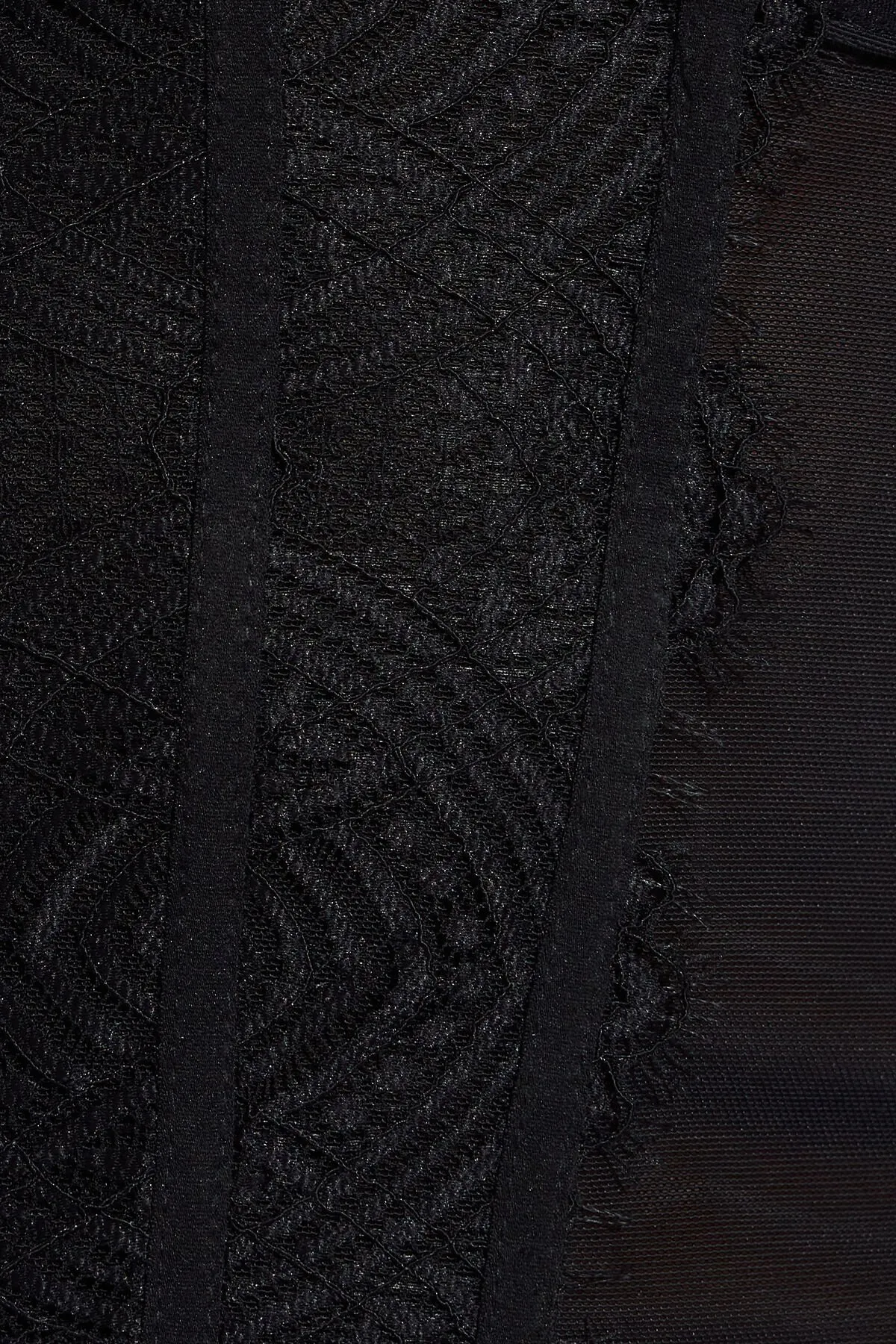 Chrishell Lace Mesh Bustier sold by Garage product image thumbnail 5