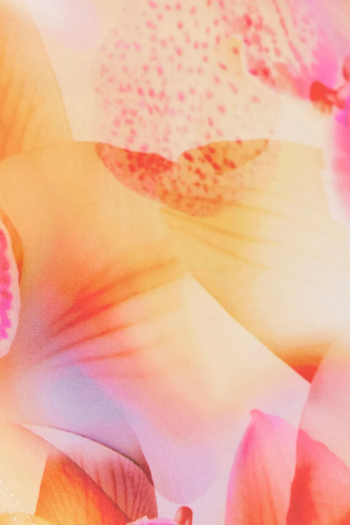 Slider Triangle Bikini Top sold by Garage product image thumbnail 5