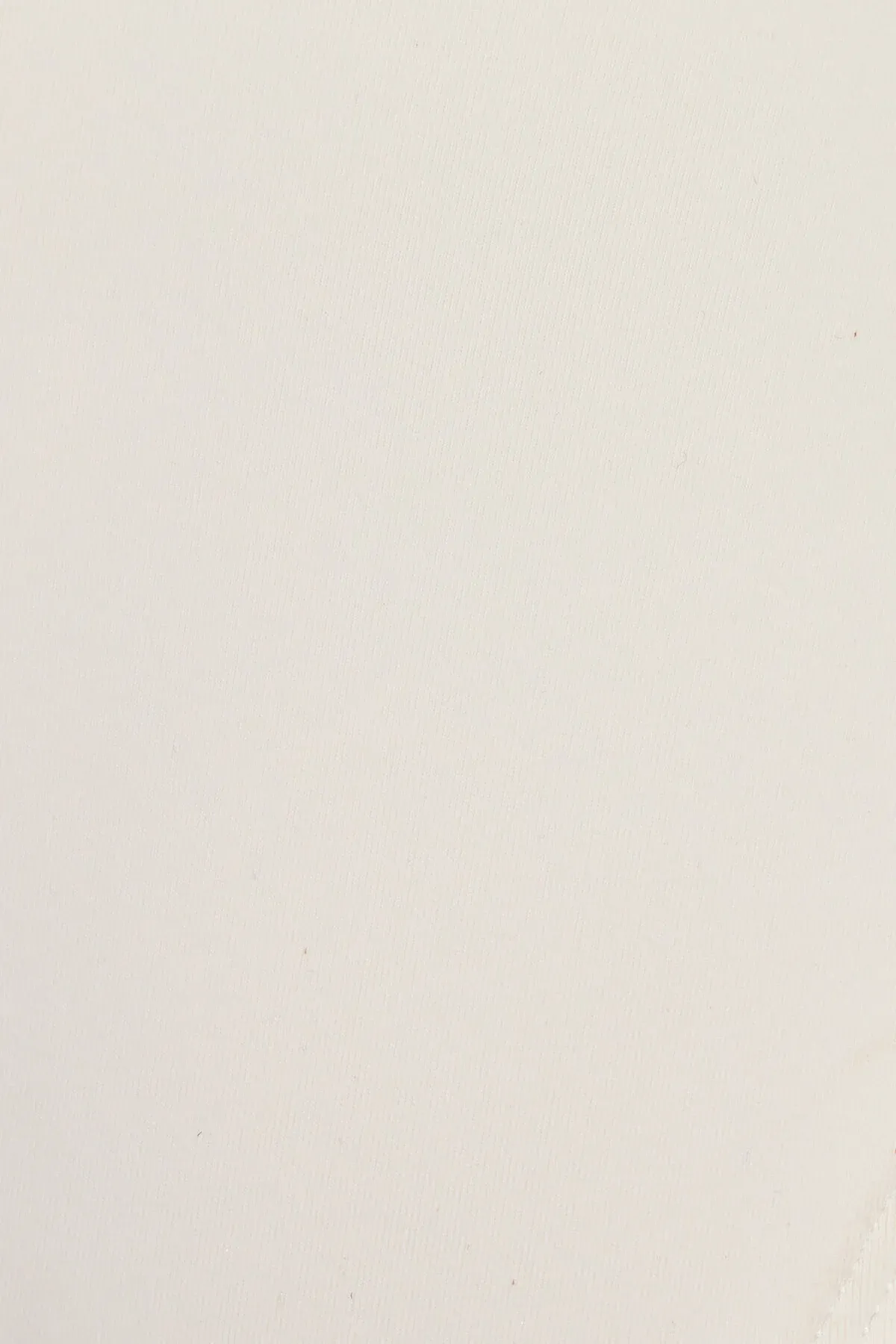 Fixed Triangle Bikini Top sold by Garage product image thumbnail 5