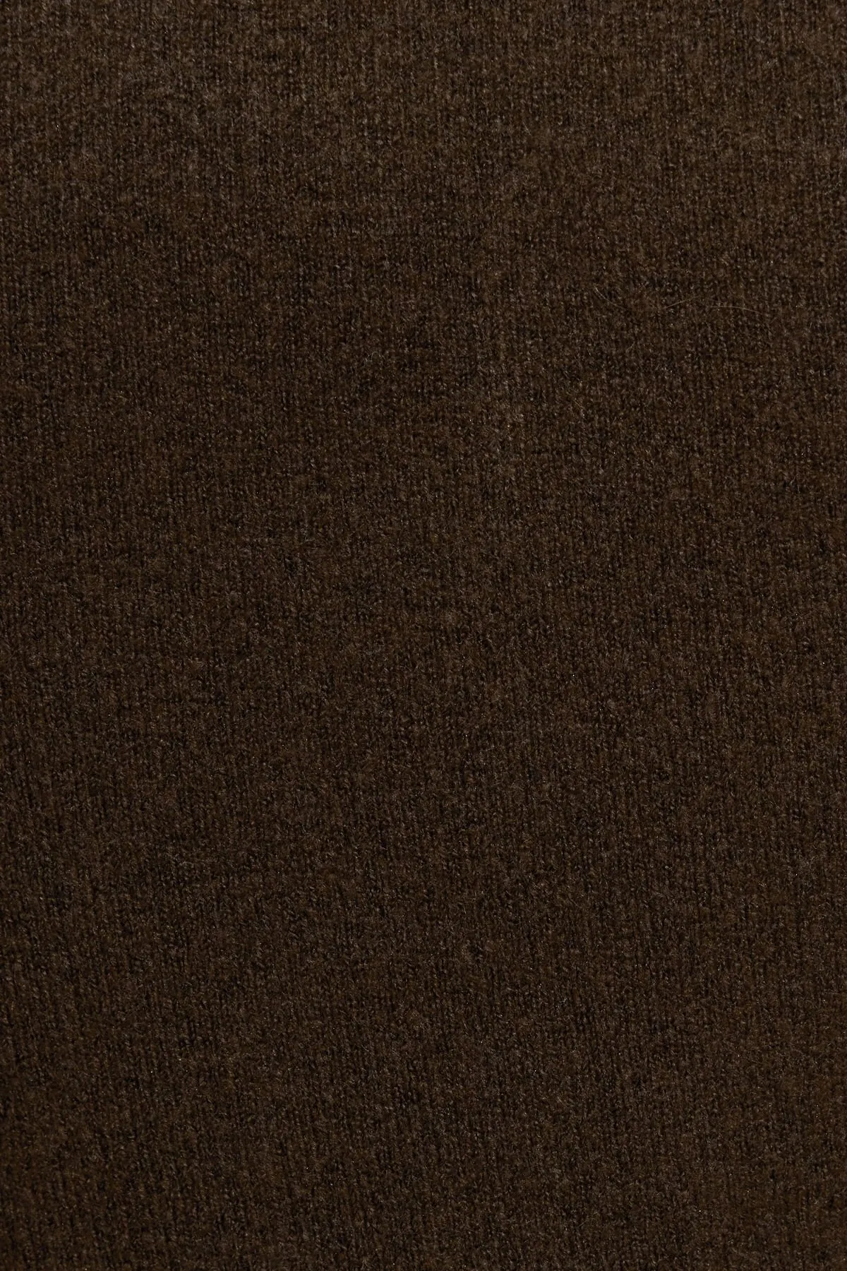 Long Sleeve Spongy Fitted Turtleneck sold by Garage product image thumbnail 5