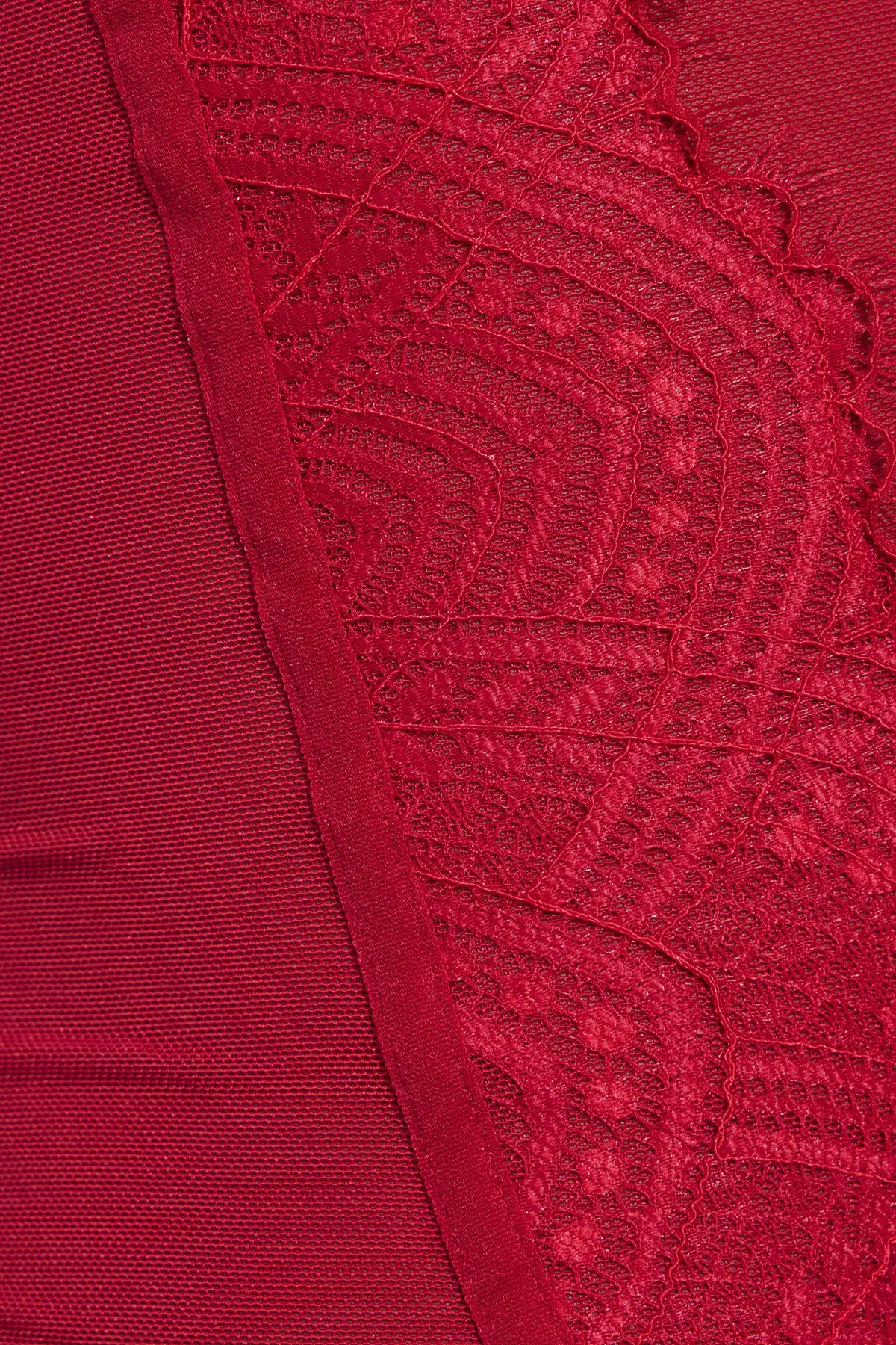 Chrishell Lace Mesh Bustier sold by Garage product image thumbnail 5