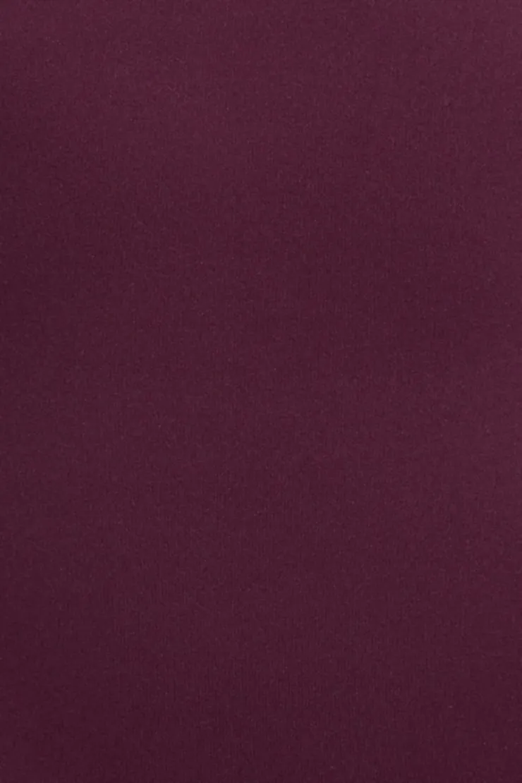 Sleek Scoop Cami Top sold by Garage product image thumbnail 4