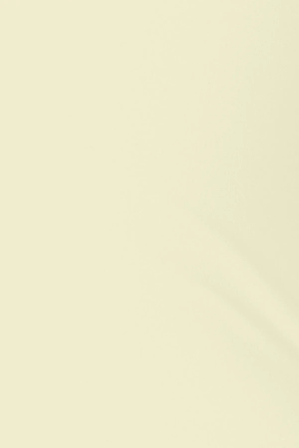 Sleek Underbust Crossback Cami Top sold by Garage product image thumbnail 4