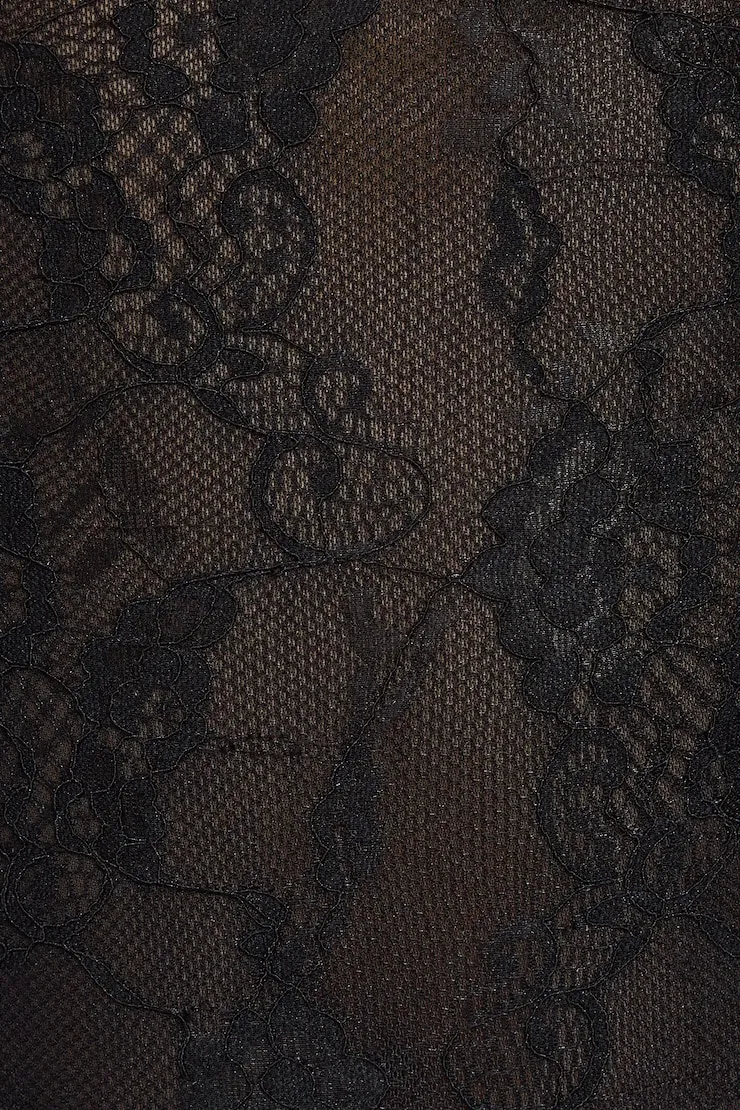 Lace Plunge Crossback Bodysuit - Garage - Black - Women Clothing sold by Garage product image thumbnail 4