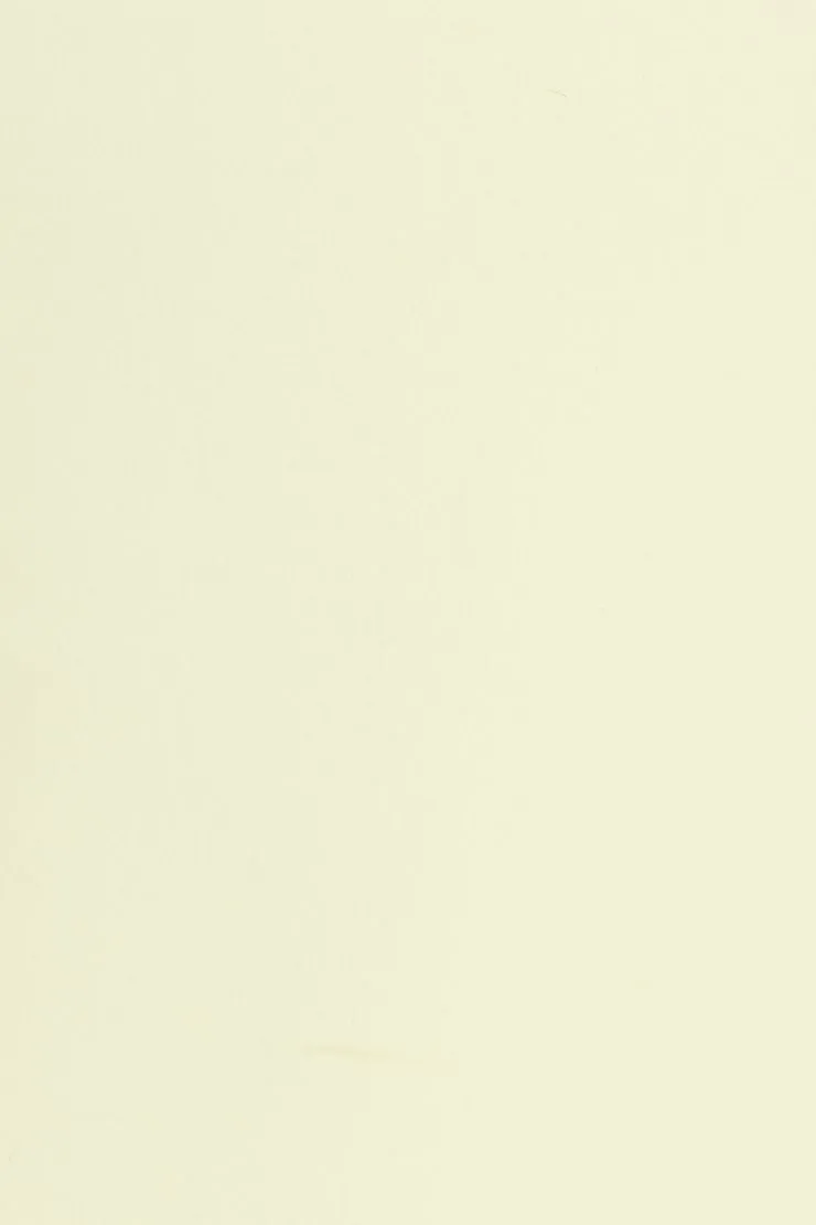 Sleek Crossover T-Shirt - Garage - Yellow - Women Clothing sold by Garage product image thumbnail 4