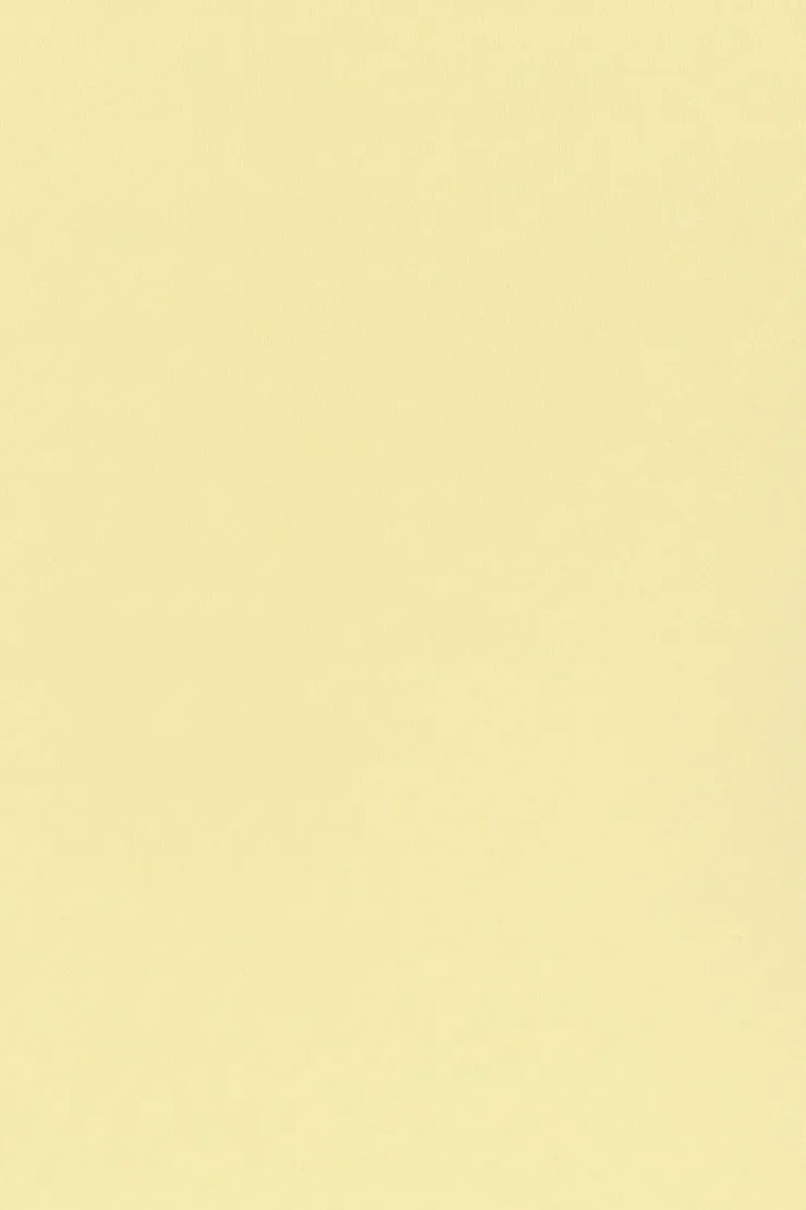 Sleek Underbust T-Shirt - Garage - Yellow - Women Clothing sold by Garage product image thumbnail 5