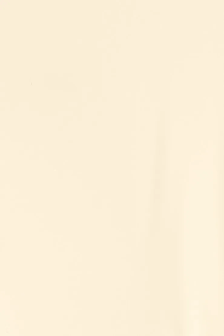High Triangle Bikini Top - Garage - Beige - Women Clothing sold by Garage product image thumbnail 4