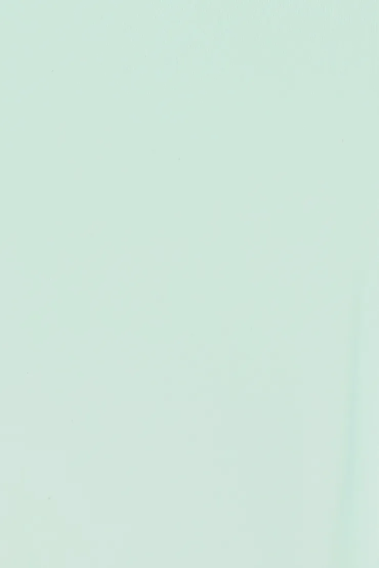 Boomerang Cheeky Bikini Bottom - Garage - Blue - Women Clothing sold by Garage product image thumbnail 5