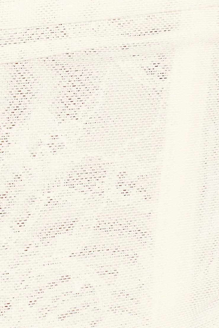 Ally Mesh Peekaboo Bustier - Garage - White - Women Clothing sold by Garage product image thumbnail 5