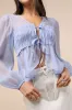 Kyler Blue Sheer Tie-Front Long Sleeve Top sold by Lulus