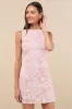 Fenicia Light Pink Abstract Floral Embroidered Mini Dress sold by Lulus