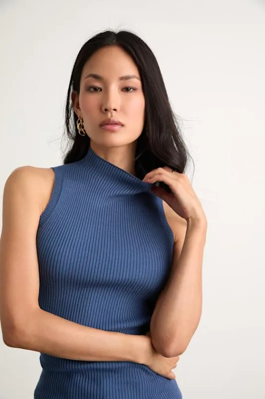 Seasonal Sophistication Blue Ribbed Mock Neck Sweater Tank Top sold by Lulus