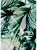 Men's Tropical Jungle Leaf Hawaiian Short Sleeve Shirt sold by Eleven Oasis