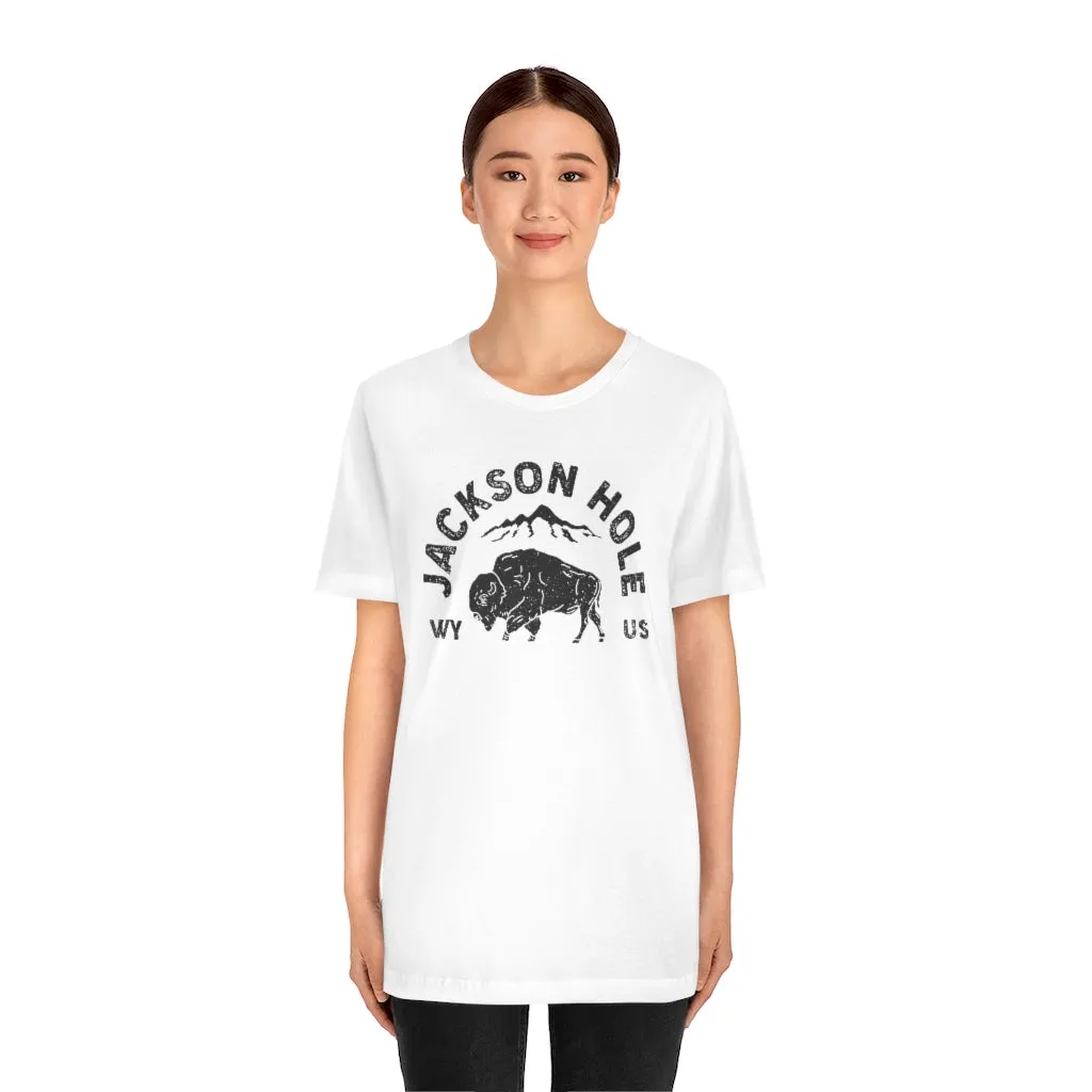Jackson Hole Unisex Tee sold by Always Stylish Mama product image thumbnail 5
