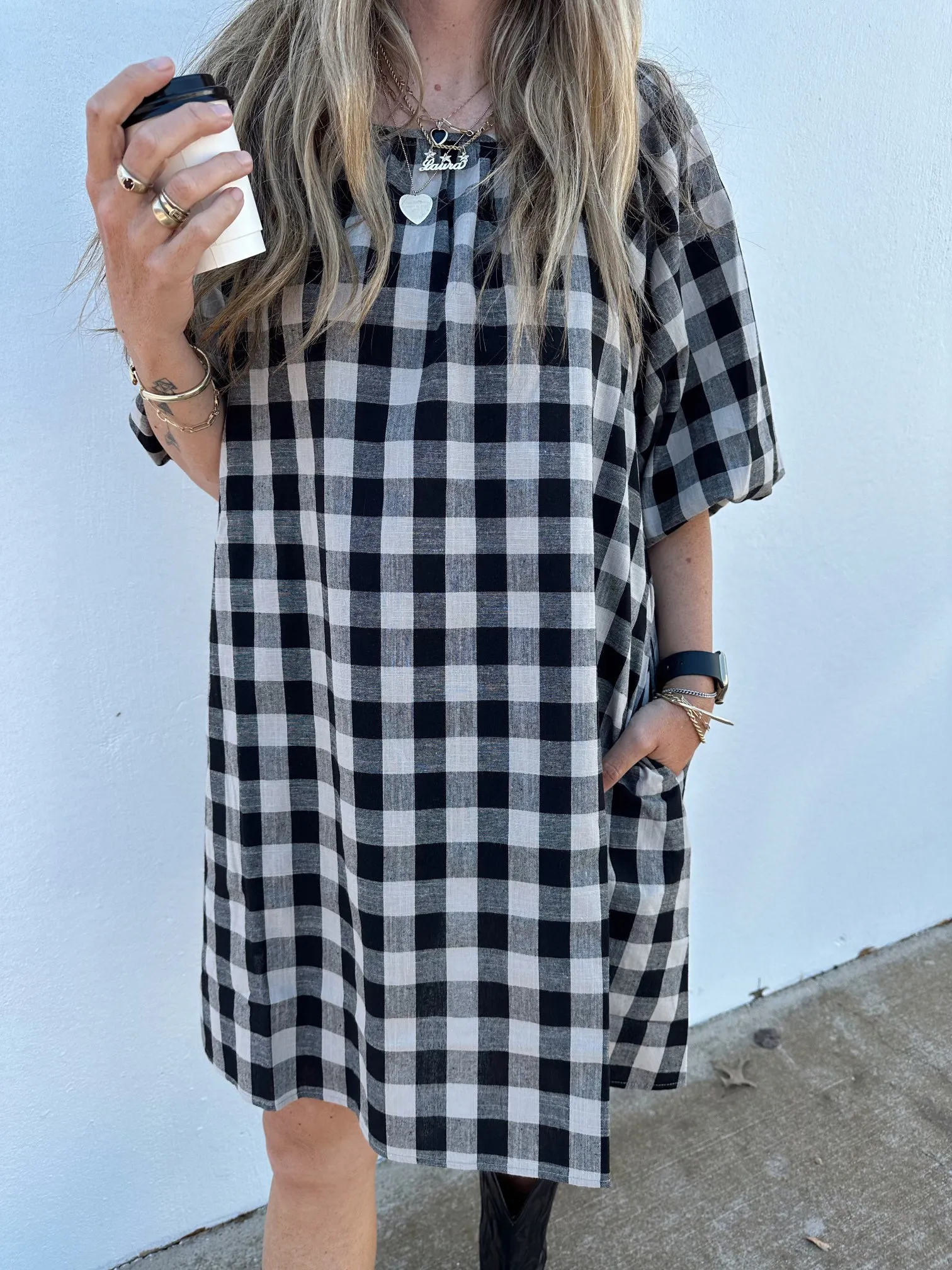 Riley Mini Gingham Dress sold by Ascot + Hart product image thumbnail 4