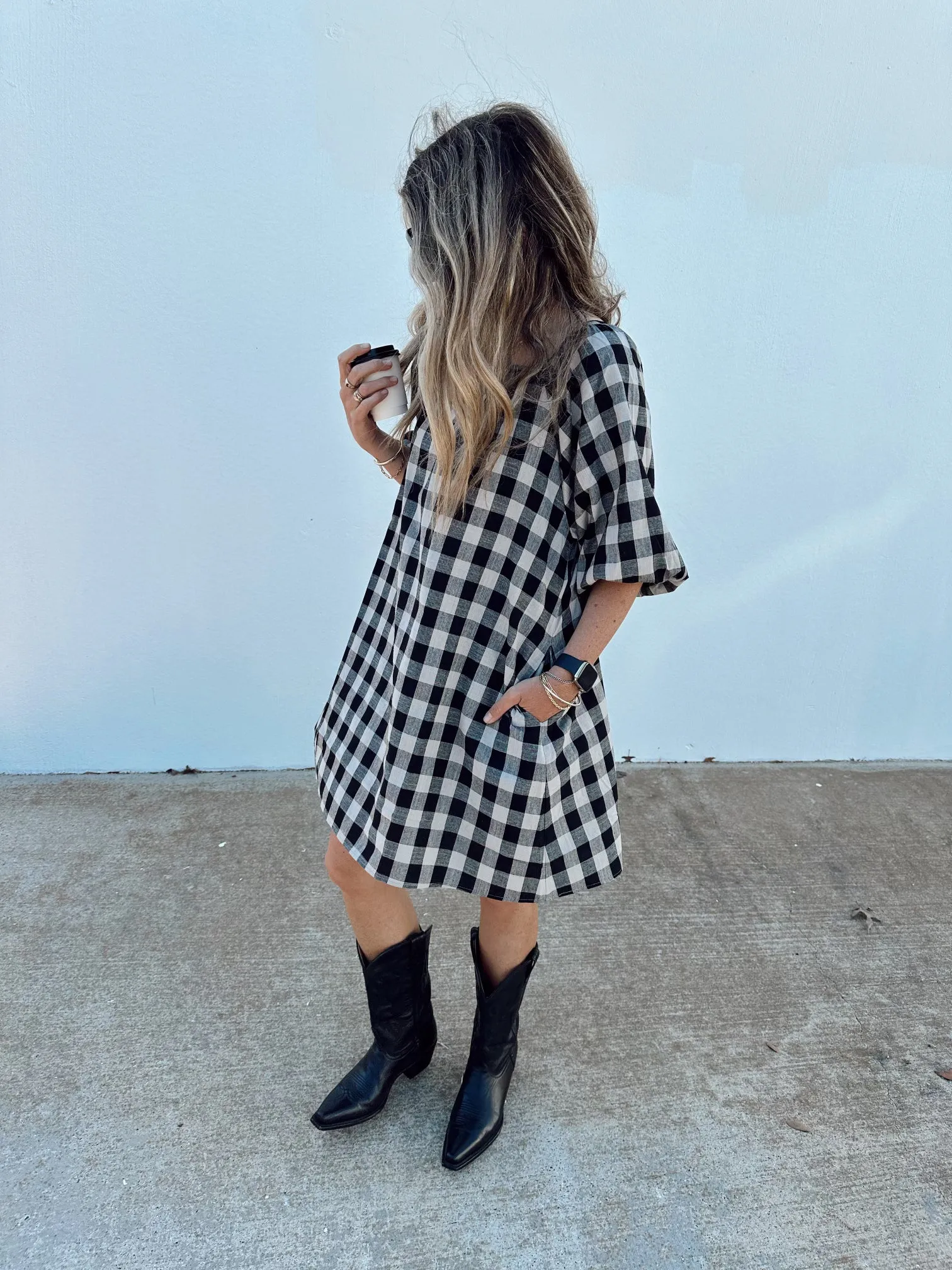 Riley Mini Gingham Dress sold by Ascot + Hart product image thumbnail 5