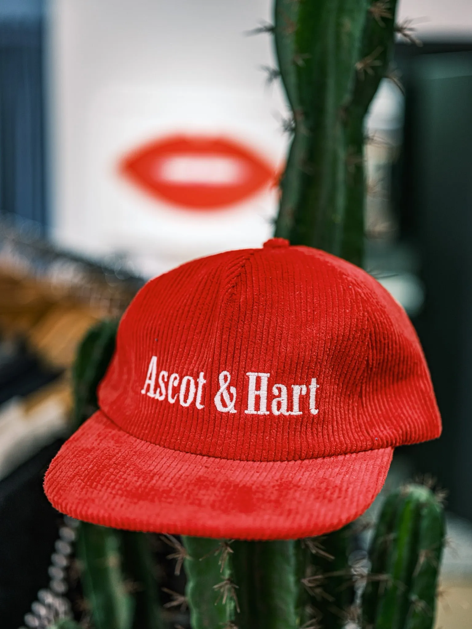 Ascot & Hart Signature Cord Hat sold by Ascot + Hart product image thumbnail 3