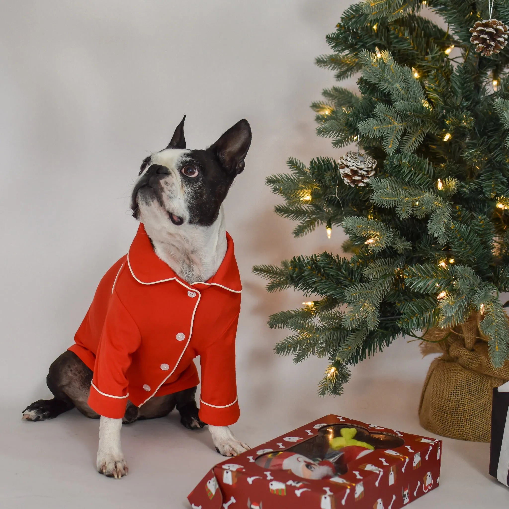 Bailey Fiery Red Pet Pajamas sold by Cozy Ups product image thumbnail 3