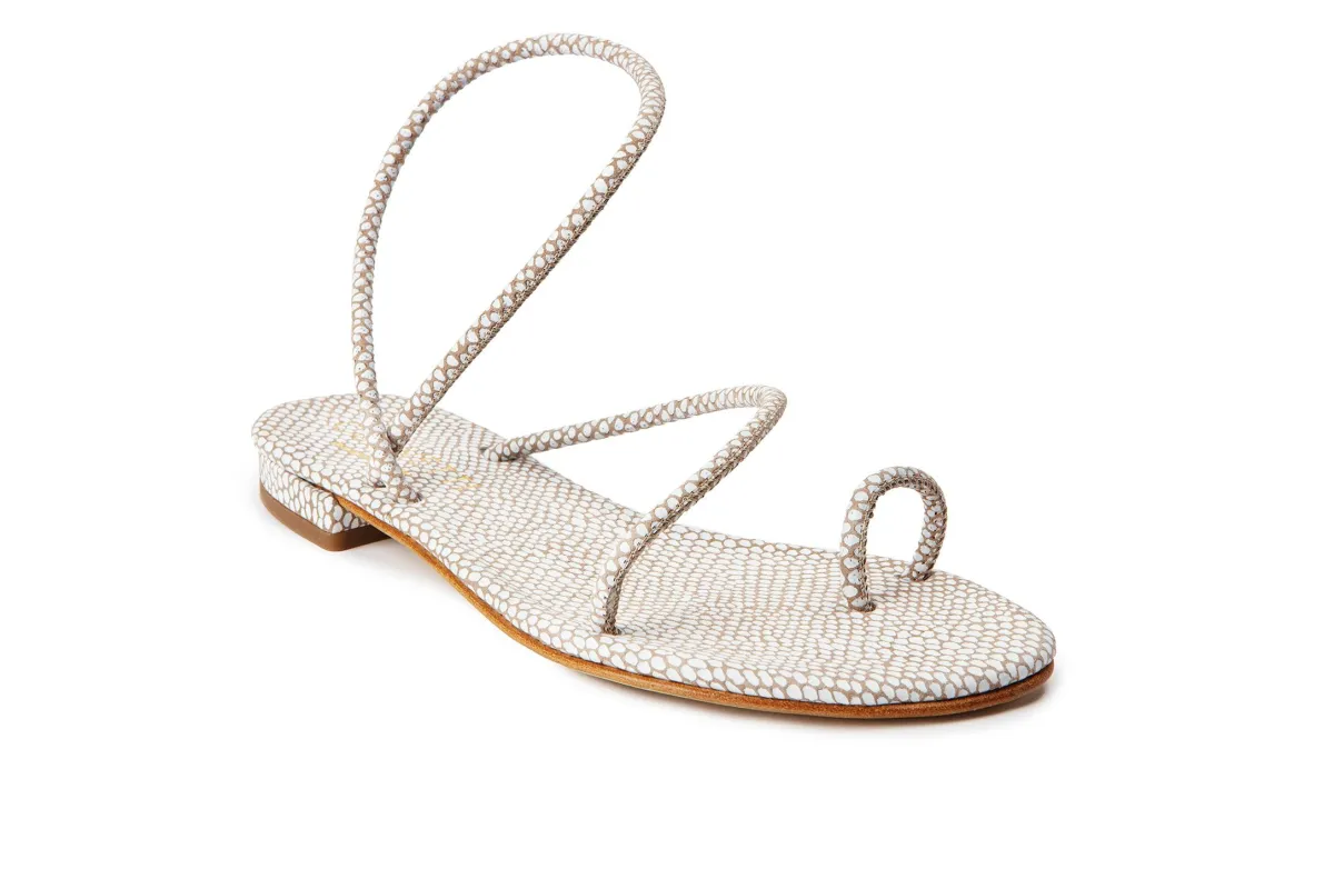 Cornetti - Romelide Sandal - Beige Viper sold by Jessie Boutique