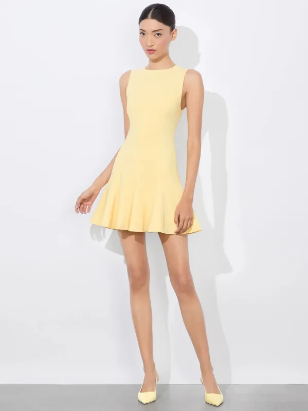 Alice + Olivia - Isa Crewneck Mini Dress - Butter sold by Jessie Boutique
